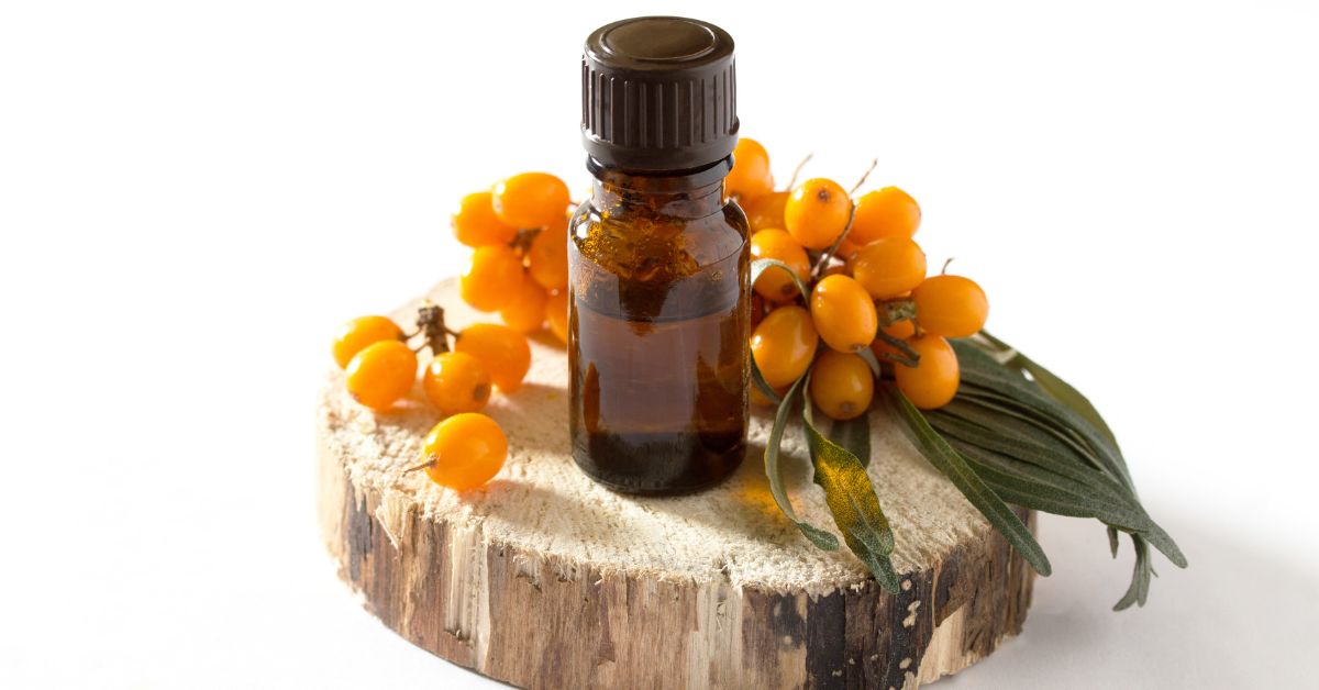 How Much Sea Buckthorn Oil For Weight Loss
